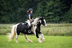 Young girl riding a Gypsy Vanner horse