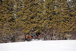 Woman riding quater horse stallion in deep snow