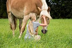 Portrait of a young girl with a Haflinger horse.