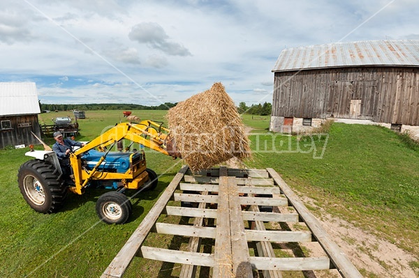 Farmer unloading round bales of straw from hay wagon with a front end loader tractor