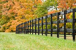 Black board fence, autumn colors
