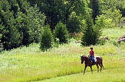 Woman horseback riding in field