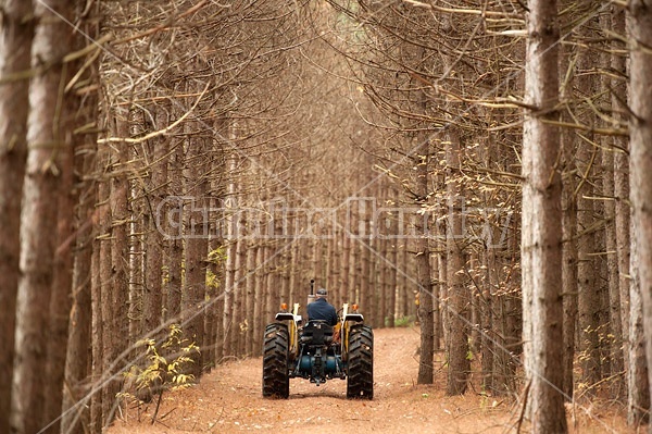 Farmer driving tractor down wooded trail