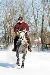Man riding grey horse galloping through deep snow