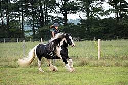 Young girl riding a Gypsy Vanner horse