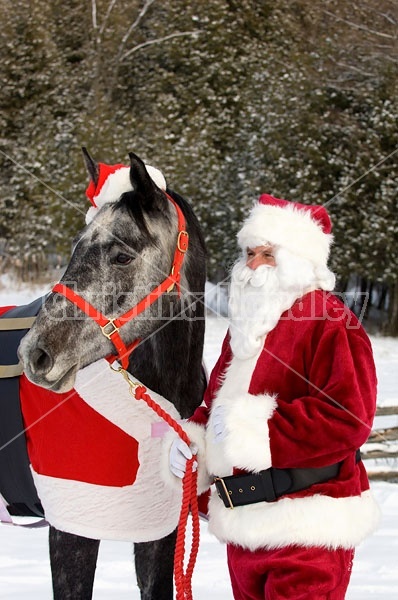 Santa Claus and his Horse