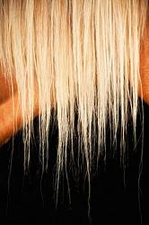 Close-up photo of blonde horse mane