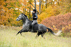 Young woman riding gray horse in the autumn colors