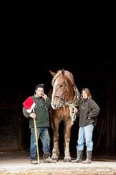 Husband and wife posing with a Belgian draft horse with a pitch fork and Santa hat.