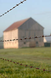 Barbed wire fence on cedar posts with out of focus barn in the background 