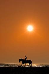 Young woman horseback riding along beach at sunset