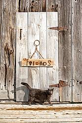 Hand crafted Friends art sign made out of wood and recycled or repurposed farm tools and machinery parts