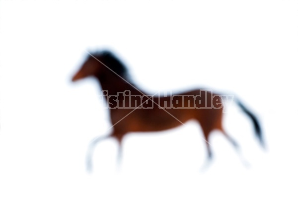 Abstract bay horse galloping in the snow