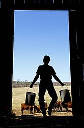 Farm woman silhouetted in barn doorway