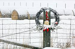 Barbed Wire Wreath hanging on Fence