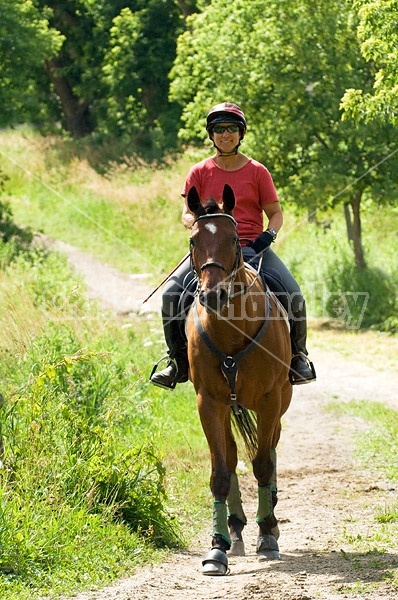 Woman horseback riding on a summer day