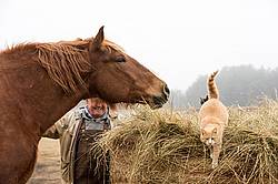 Farmer laughing as cat jumps off of bakle of hay because horse gets too close.