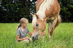 Portrait of a young girl with a Haflinger horse.