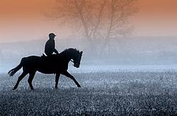 Horseback riding in the early morning fog