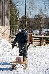 Farmer pulling salt and mineral blocks on old wooden sleigh to put out for animals