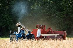 Farmer combining oats with a tractor and pull behind combine