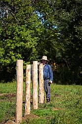 Farmer building new fence