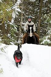Horseback riding in the snow in Ontario Canada