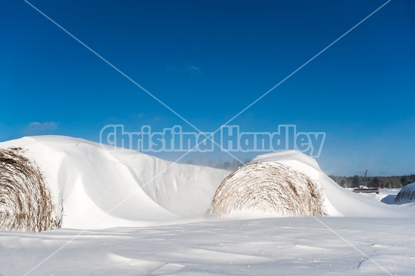 Round bales of hay covered in snow