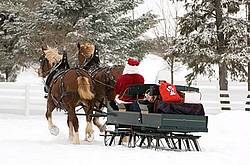 Santa Claus driving sleigh