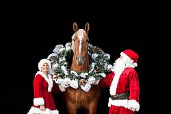 Santa Claus and Mrs Claus standing with a Belgian draft horse with a Christmas wreath over its head.