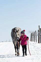 Young girl leading horse