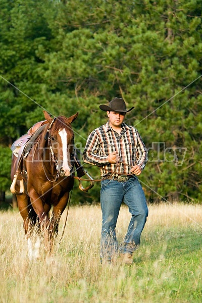 Cowboy and Horse