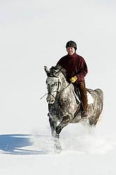 Man riding grey horse galloping through deep snow