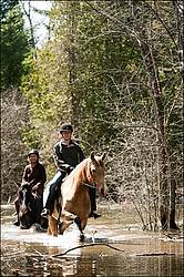 Riding Rocky Mountain Horses