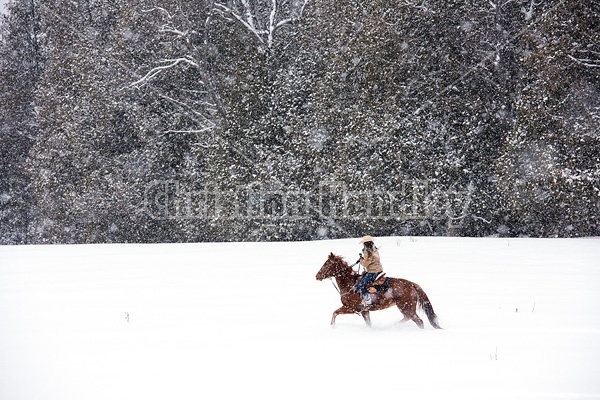 Young woman riding horse in snowstorm in Ontario Canada
