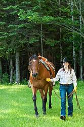 Young woman leading a bay quarter horse gelding