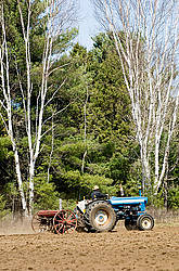 Man driving tractor pulling a seed drill planting oats