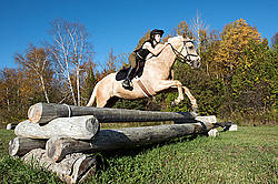 Young woman riding palomino horse over cross country jumps
