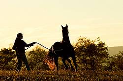 Woman with horse silhouetted against evening sky