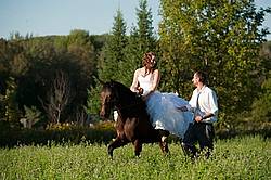 Bride and groom with horse