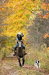 Young woman riding a Quarter Horse on trail