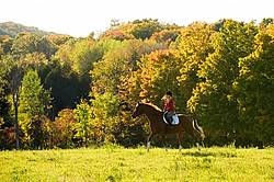 Young woman horseback riding in the fall of the year.