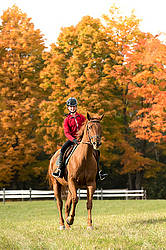 Young girl horseback riding through the autumn colored forest