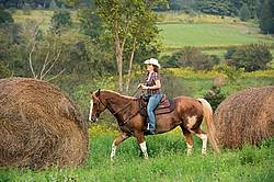 Young woman horseback riding western 
