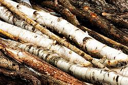 Hardwood firewood logs