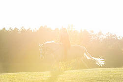 Woman riding a palomino horse