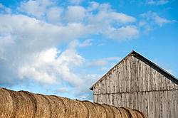 Round bales of hay and barn