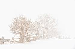 Photo of rail fence in heavy snowstorm
