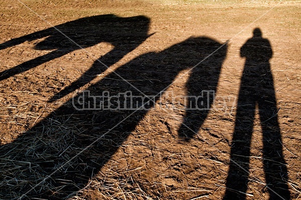 A fun and funky long shadow of a person and their horse on the grass
