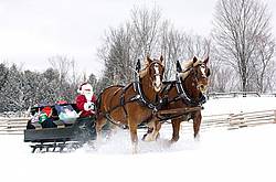 Santa Claus driving sleigh